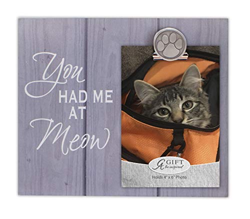 Cathedral Art Cat Frame - You Had Me at Meow, One Size, Multicolored
