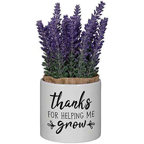 Carson Home 24604 Help Me Grow Decorative Planter with Artificial Flowers, 7.5-inch Height, Ceramic