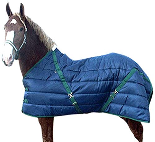 Intrepid International High Spirit Snuggie Large Horse Stable Blanket, 96-Inch