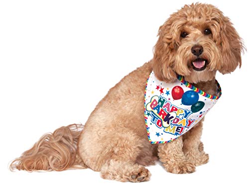 Rubie's It's My Bark Day Reversible Pet Bandana, Medium/Large