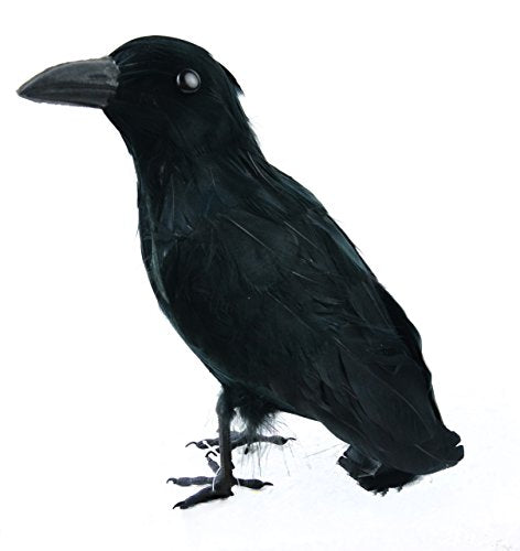 Midwest Design Touch of Nature Feather Crow Black on Wire, 13-Inch