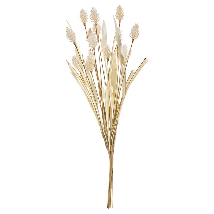 RAZ Imports Bunny Tail Pampas Grass Bundle, 16 inches, Bundle of 6