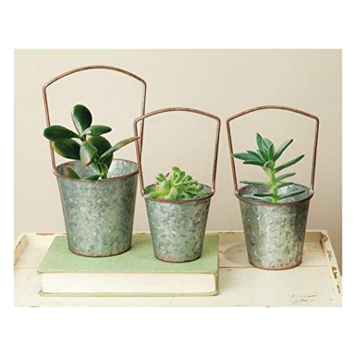 Manual IMIJMB Metal Mini Planter Bucket (Set of 3)