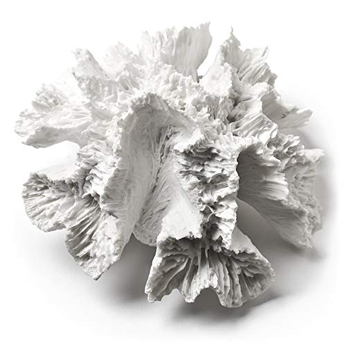 Abbott Collection  Coral Flower, White (Small)