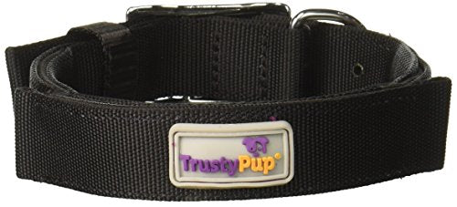 Worldwise TrustyPup Travel Built in Leash Collar, Medium, Black