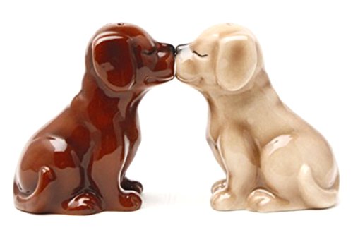 Pacific Trading Giftware Labrador Puppies Magnetic Salt and Pepper Shakers Set, Blond/Chocolate