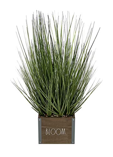 DesignStyles Rae Dunn Home Decor Plants - Artificial Plants for Home Decor Indoor - Rustic Planter with Fake Plants for Room, Coffee Table Centerpiece, Outdoor Table Decor, Bathroom Counter Decor, Window Sill