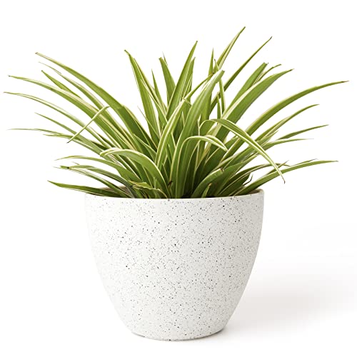 La Jol√≠e Muse Flower Pots Outdoor Indoor Garden Planters,Plant Pots Containers with Drain Hole, Speckled White (8.6 inch, 1 Pack)