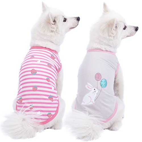 Blueberry Pet Pack of 2 Soft & Comfy Wonderland Striped Cotton Blend Dog T Shirts, Back Length 14", Clothes for Dogs