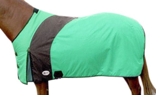 Intrepid International Prima Medium Weight Turnout Blanket, 77-Inch, Emerald