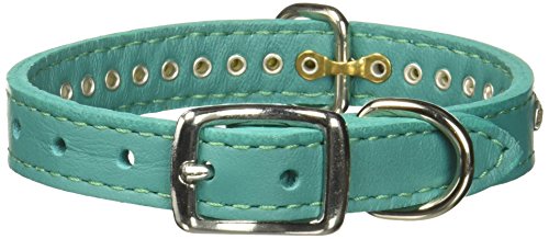 OmniPet Signature Leather Crystal and Leather Dog Collar, 12", Jade