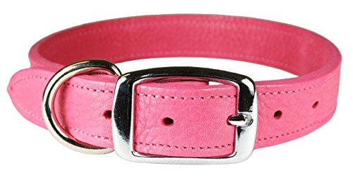 Omnipet Luxe Dog Collar (10, Flamingo)