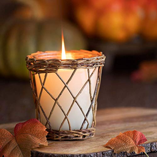 Park Hill Collection FNP10003 Heirloom Pumpkin Willow Candle, 12 oz