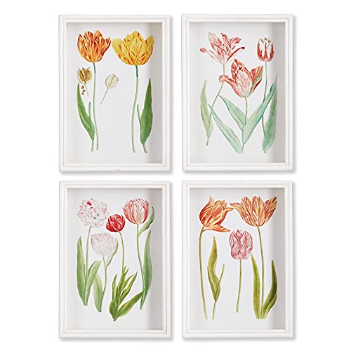 Napa Home & Garden Home Collection-Wall Art, Tulip Prints, Set of 4
