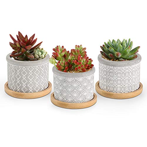 T4U 2.5 Inch Cement Succulent Planter Pot with Bamboo Tray Set of 3, Small Grey Concrete Pot Cactus Plant Container Herb Window Box Decoration for Home Office Gardening Birthday
