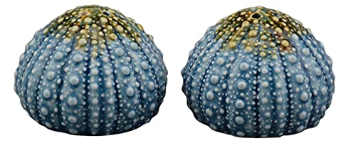 Blue Sky Clayworks Clayworks Urchin Box Salt and Pepper Set, 3-inch Length, Blue, Set of 2