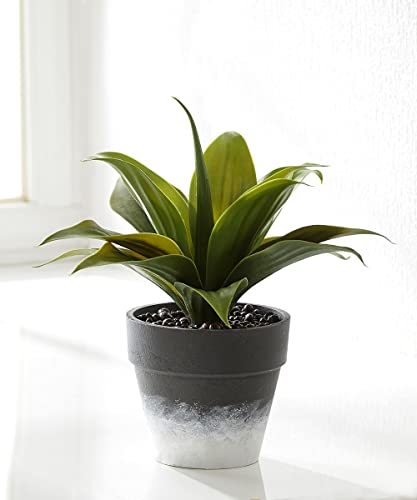 Giftcraft 094526 Decorative Plant with Planter, 15 inch, Plastic