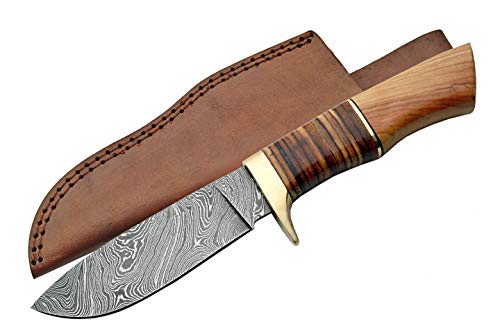 SZCO Supplies DM-1100 Damascus Stacked Leather/Olivewood Hunting Knife