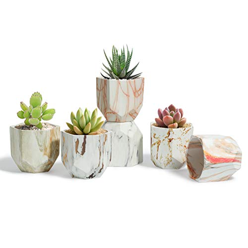 T4U Succulent Pot Ceramic 3 Inch Hexagon Marbling Colorful Collection Set of 6, Geometric Small Flower Plant Planter with Drainage Hole Cactus Bonsai Herb Container for Indoor Home Office Decor
