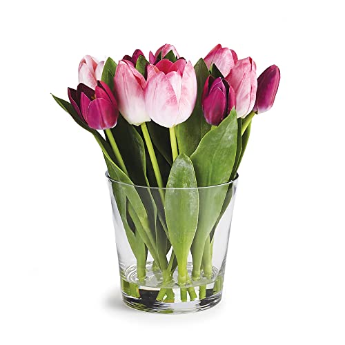 Napa Home & Garden Dutch Tulip ARRGMT in VASE 11" PK