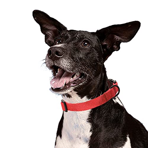 Mile High Life | Dog Collar | Outdoor Simplicity Collection | Soft and Strong Poly Cotton Fabric | Variety Colors | Red, Medium Neck 13"-17" -40 lb