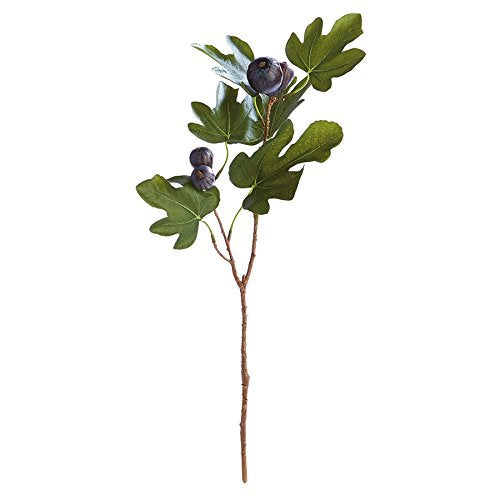 Napa Home & Garden FIG STEM with FIGS 21.5"
