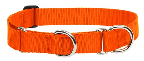 Lupine Pet Basics 1" Blaze Orange 15-22" Martingale Collar for Medium and Larger Dogs