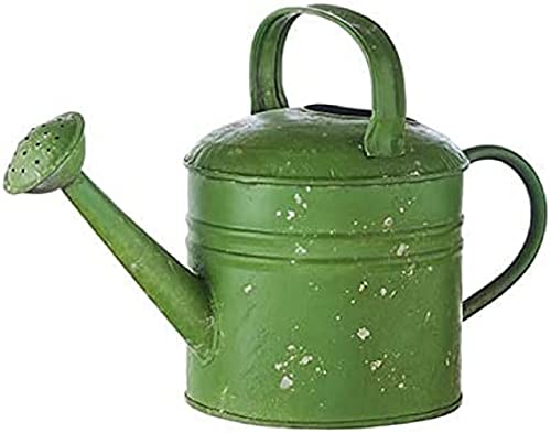 RAZ Imports Boxwood 12.5" Green Watering Can