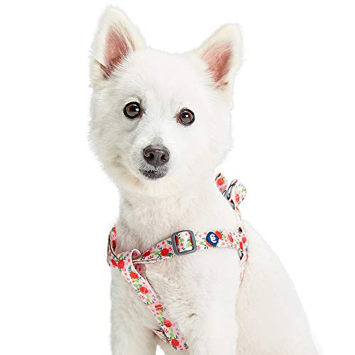 Blueberry Pet Essentials Step-in Spring Scent Inspired Garden Floral Dog Harness in Baby Pink, Chest Girth 20" - 26", Medium, Adjustable Harnesses for Dogs
