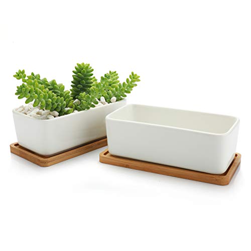T4U Small White Succulent Planter Pots with Bamboo Tray, Ceramic Rectangle Cactus Plant Holder Container for Home Office Table Desk Decoration Gift for Mom Aunt Sister Daughter Gardener