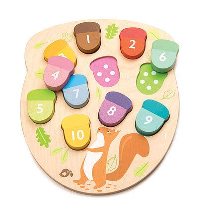 Tender Leaf Toys - How Many Acorns? - Counting, Sorting Activity Game for Children