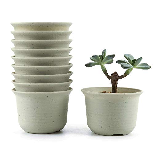 T4U 3.5 Inch Plastic Round Plant Pot/Cactus Flower Pot/Container Grey Set of 10,Seeding Nursery Planter Pot with Drainage for Flowers Herbs African Violets Succulents Orchid Cactus Indoor Outdoor