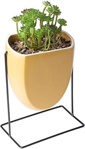 Home Essentials 28340 Planter Succulent on Metal Stand, 9-inch Height, Marigold