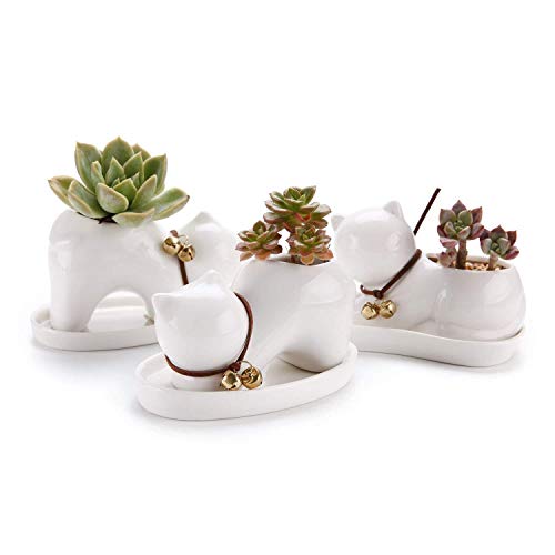 T4U Cat Planter Animal Succulent Pot Ceramic Cute Small Plant Pot - White Porcelain Succulents Holder Cactus Flower Container Home Office Decoration with Tray - Pack of 3