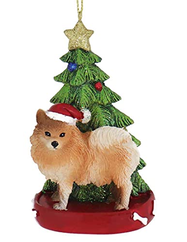 Kurt Adler POMERANIAN WITH CHRISTMAS TREE ANE LIGHTS ORNAMENT FOR PERSONALIZATION