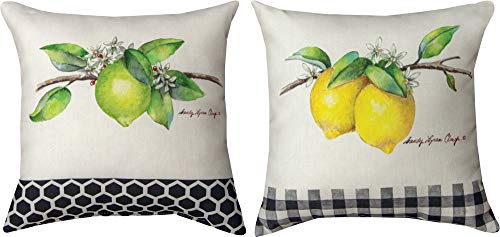 Manual Woodworkers SDPGSF Grove Song Fruit Dye Throw Pillow, 12 inch, Multicolor