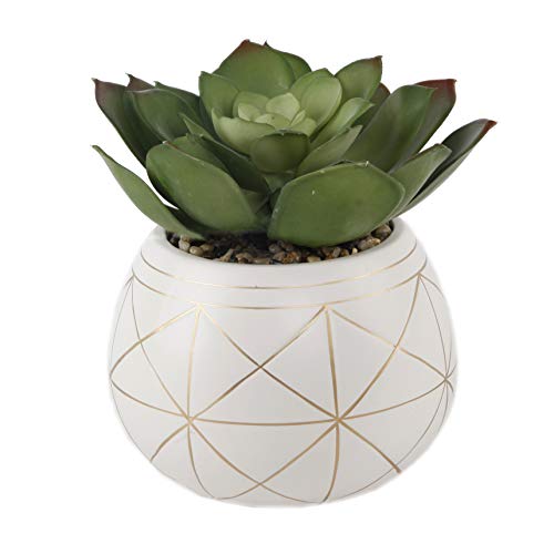Flora Bunda Mid Century Artificial Plants Artificial Succulent in 6.5 Inch Round Geometric Hand Painted Planter with Legs,6.5" Round White/Gold Line, for Desk, Office, Living Room, and Home Decoration