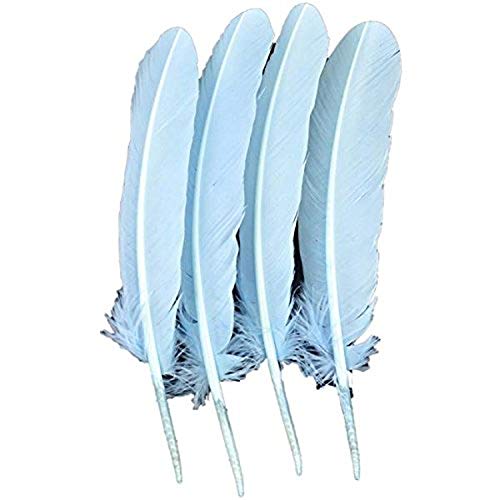 Midwest Design Touch of Nature 4-Piece Turkey Feather for Art and Craft, 12.25 to 13-Inch, Baby Blue