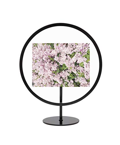 Umbra, Black Infinity Picture Frame, Unique Circular Display for Desk or Wall, Floats 4x6 Photo, 4 x 6