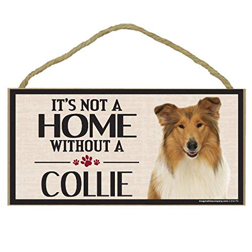 Imagine This Company Wood Sign for Collie Dog Breeds