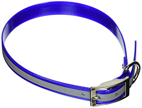 OmniPet Sunglo Reflective Regular Dog Collar, 1 x 27, Blue