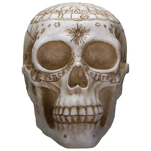 Pacific Trading Giftware Astrology Skull Home Decor LED Lamp with Two USB Charging Ports, White