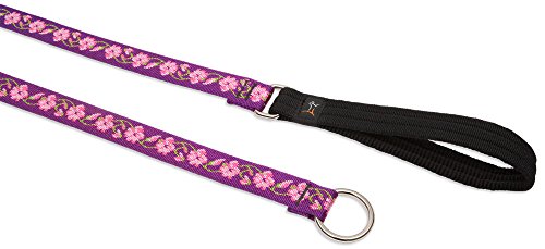 Lupine Pet Originals 1" Rose Garden 6-Foot Slip Lead/Leash for Medium and Larger Dogs