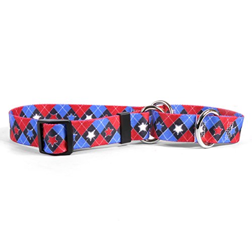 Yellow Dog Design American Argyle Martingale Dog Collar 1" Wide and Fits Neck 18 to 26", Large