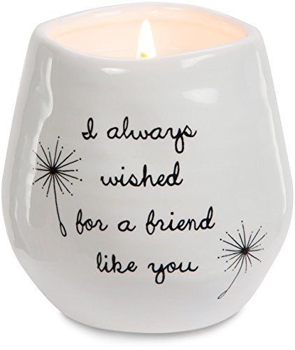 Pavilion Gift Company Plain Dandelion Always Wished for a Friend Like You White Ceramic Soy Serenity Scented Candle