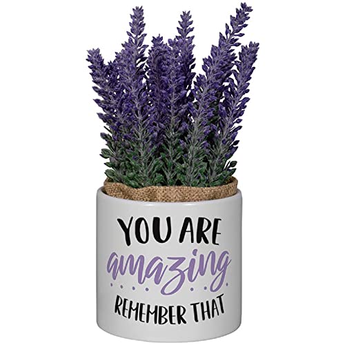 Carson Home 24608 You are Amazing Decorative Planter with Artificial Flowers, 7.5-inch Height, Ceramic