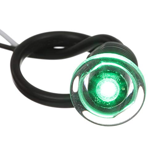 Land N Sea Distributing 05511 LED Mini Accent Livewell Light ‚Äì Waterproof ‚Äì 50,000 Hours ‚Äì Green Light