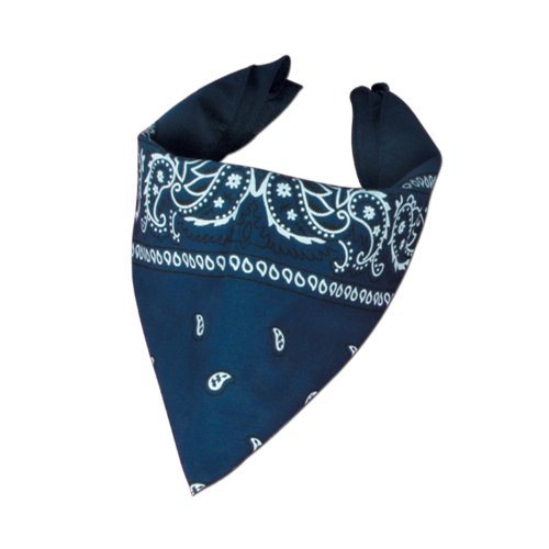Beistle Blue Bandana Party Accessory (1 count)