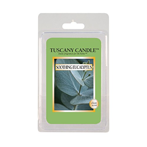 Langley Empire Candle Fragrance Bars, 2.5-Ounce, Soothing Eucalyptus