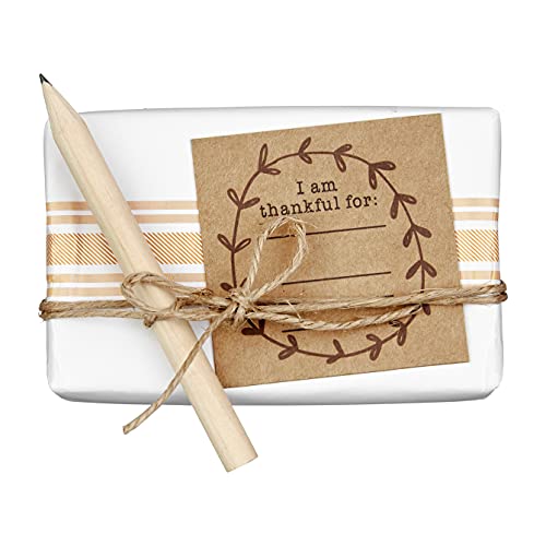 Mud Pie Thankful Harvest Spice Scented Soap Bar, 2 x 3.5 inch, Wax